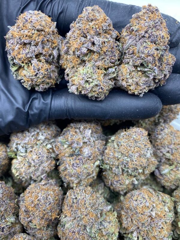 granddaddy purple