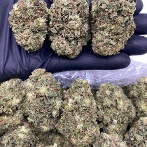 northern lights