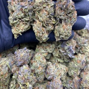 rainbow kush