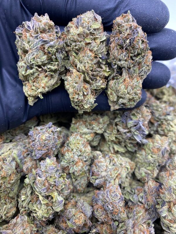 rainbow kush