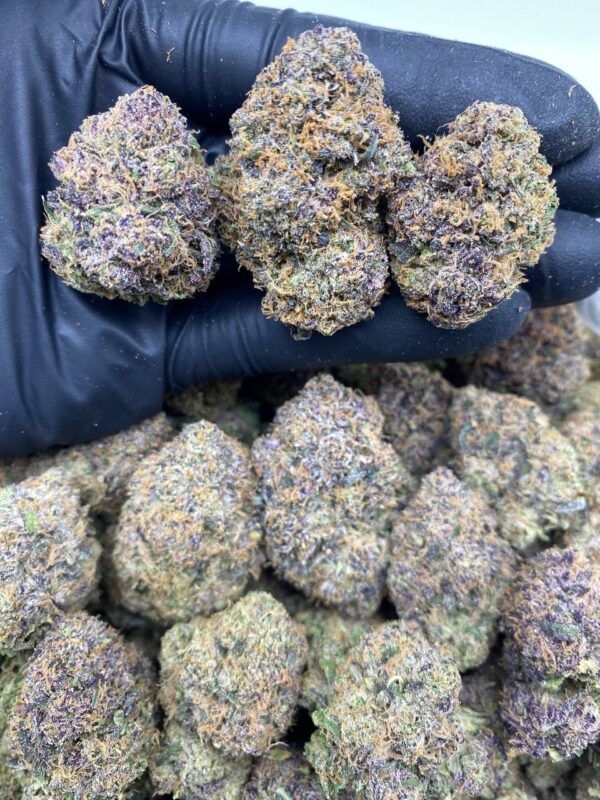 black cherry gelato
