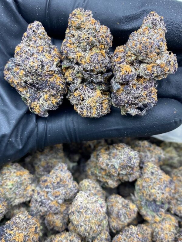 black chemlatto