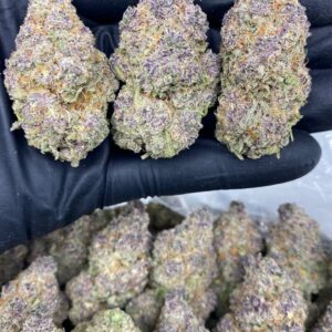 tropical cherry