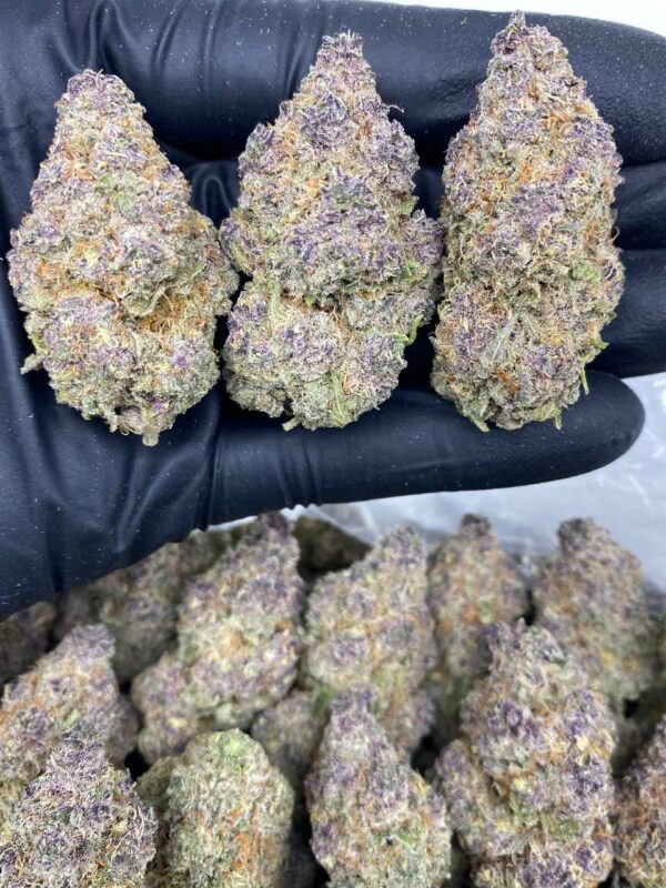 tropical cherry