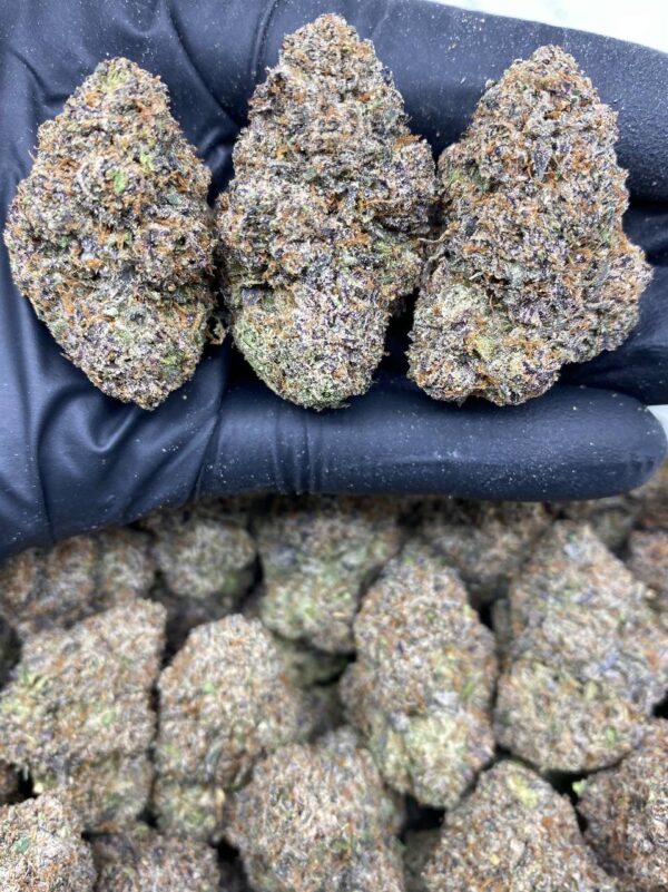 black cherry soda