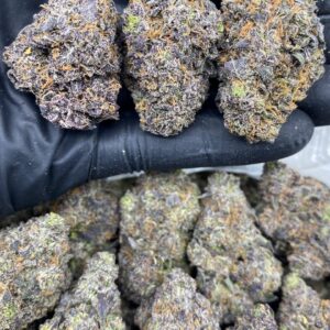 PURPLE RUNTZLATTO
