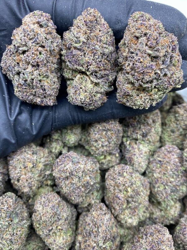 black cherry gumbo