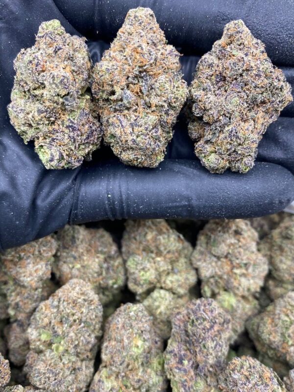 GELATO CHERRIES