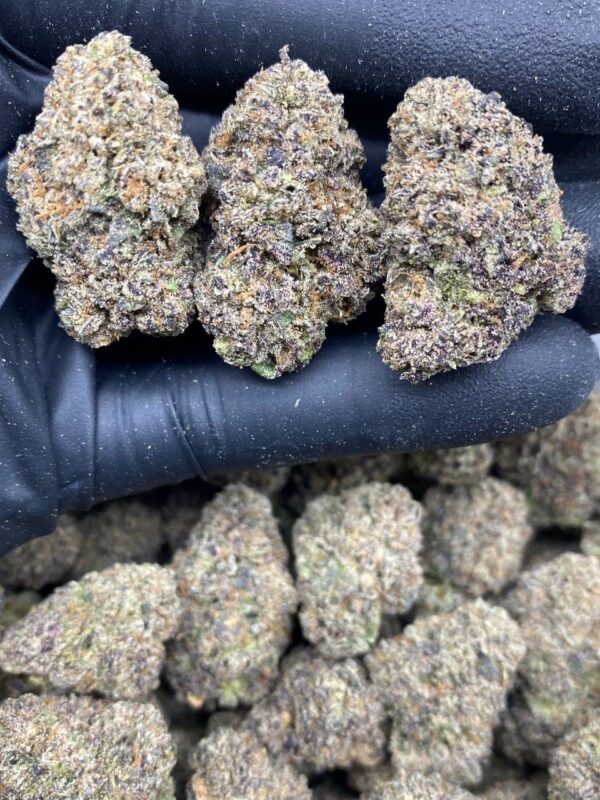 purple cherry runtz