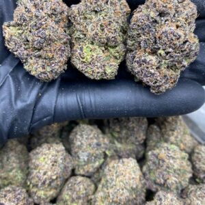 purple candy gelato