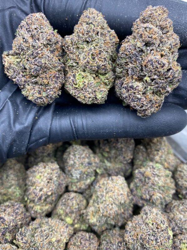 purple candy gelato