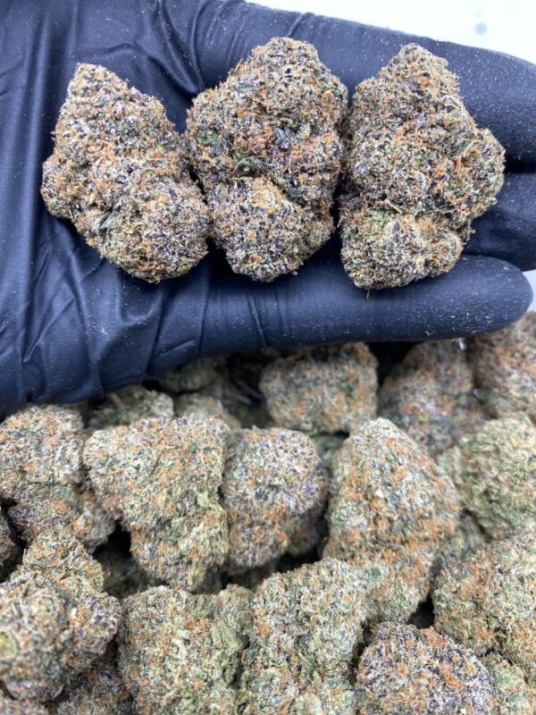 grape lolli gelato