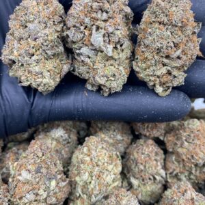 indoor platinum