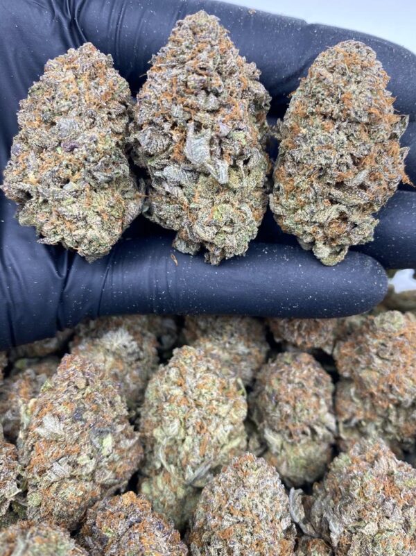indoor platinum