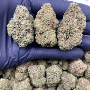 banana cream