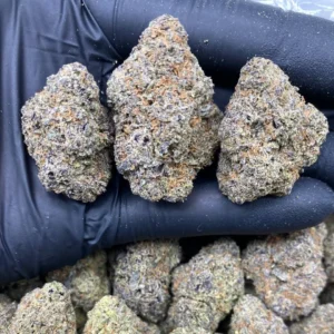 black truffle runtz