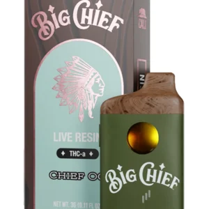 big chief disposable