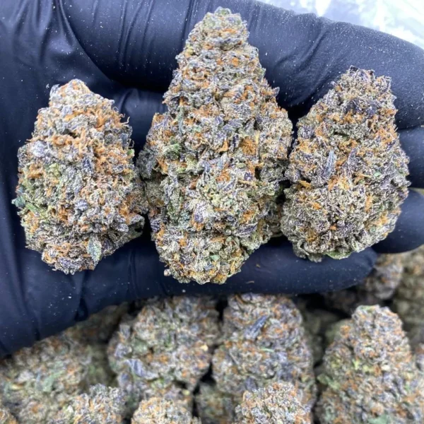 frosted rozay