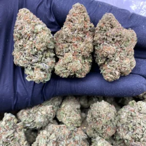 fruit punch