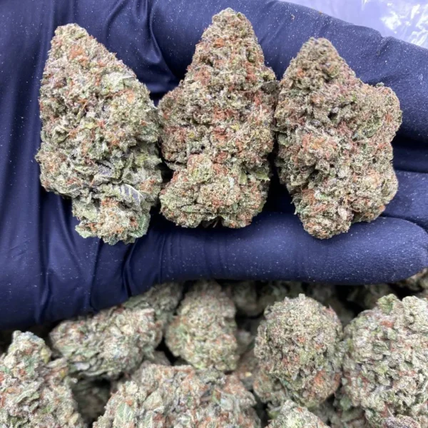 fruit punch