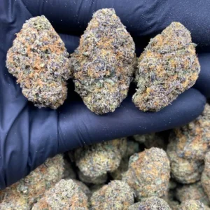 PURPLE COTTON CANDY