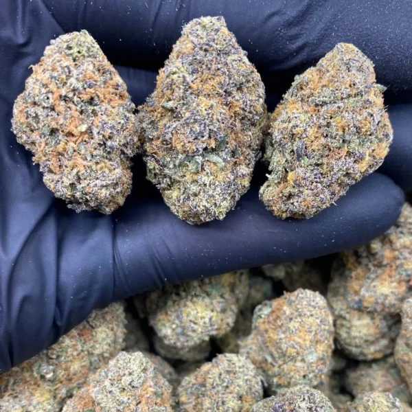 PURPLE COTTON CANDY