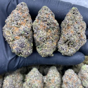 purple tropical thunder