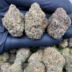 purple venom runtz