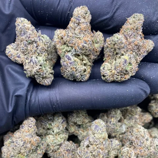 white cherry gelato