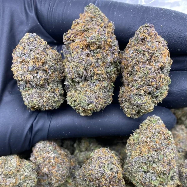 gasfuel lollipop