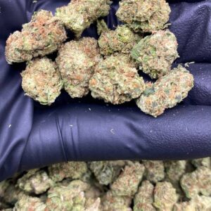 papaya punch smalls