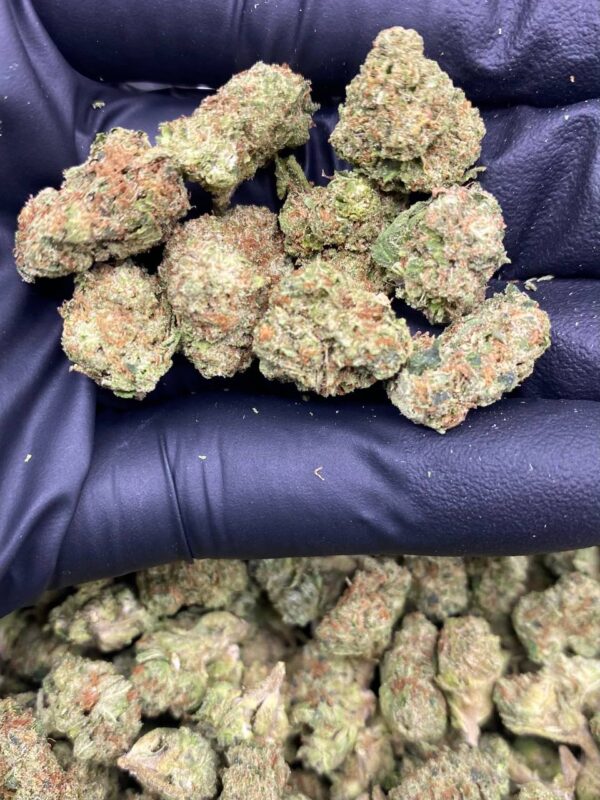 papaya punch smalls