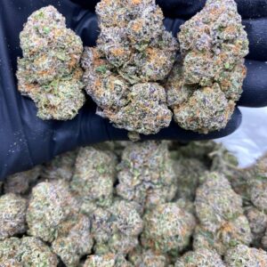 lemon cherry gelato