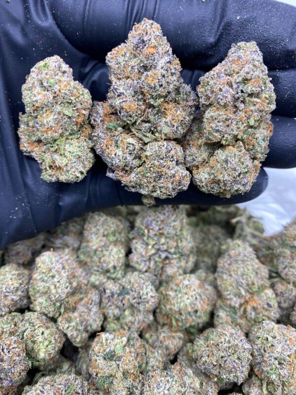 lemon cherry gelato