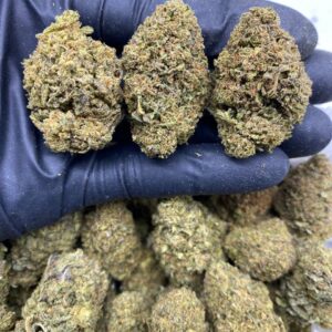 GELATO HAZE