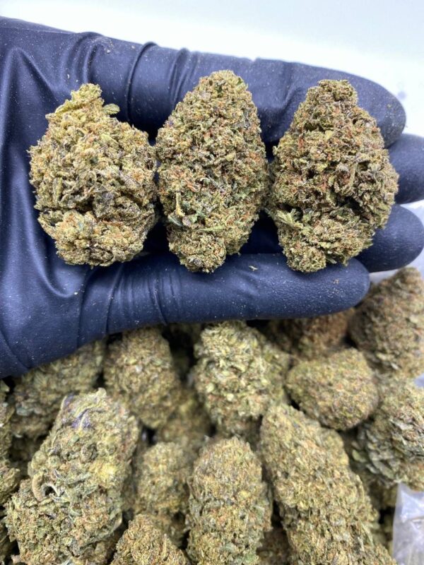 GELATO HAZE