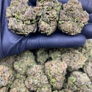 CANDY POP ROCKS