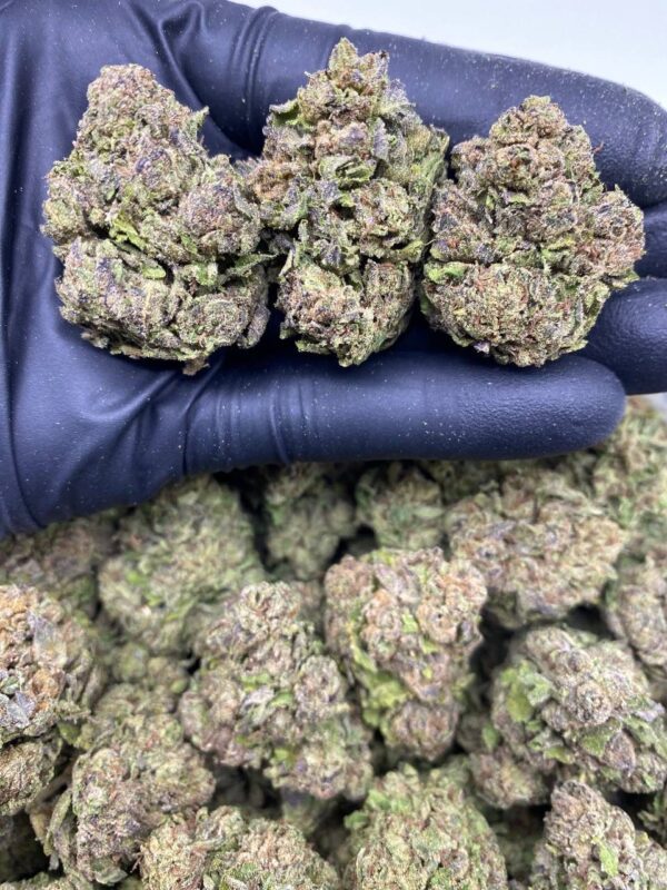CANDY POP ROCKS