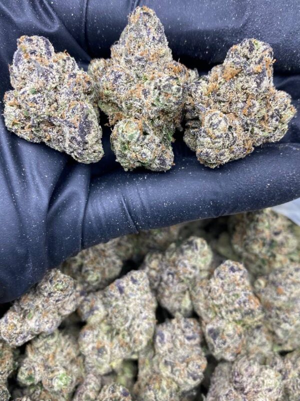 ZA PINK STARBURST