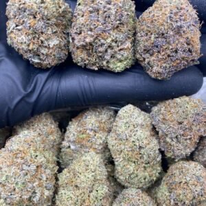 import placeholder for 670