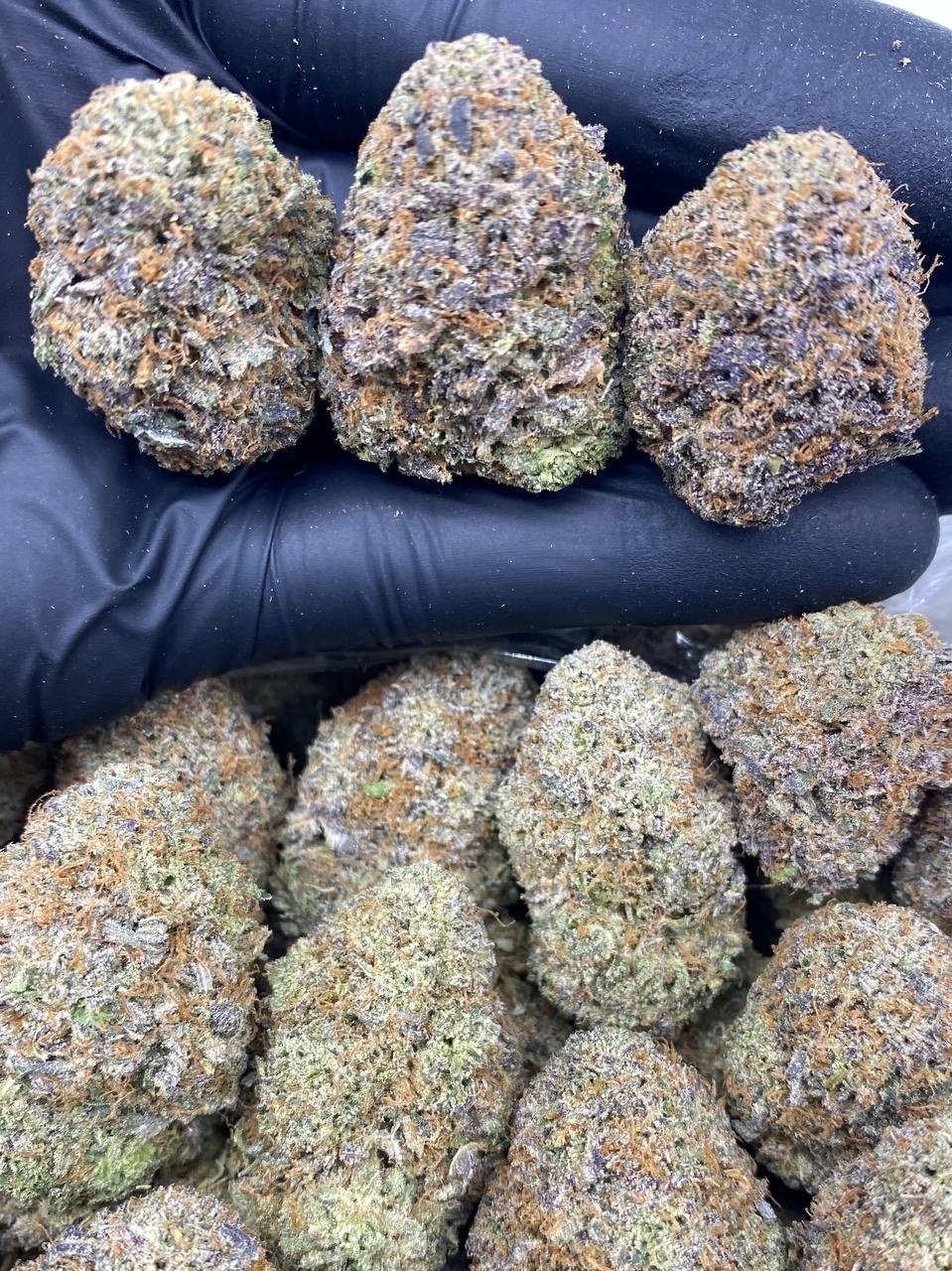 import placeholder for 670 import placeholder for 670