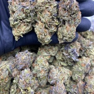 import placeholder for 786