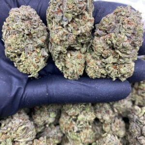 import placeholder for 784