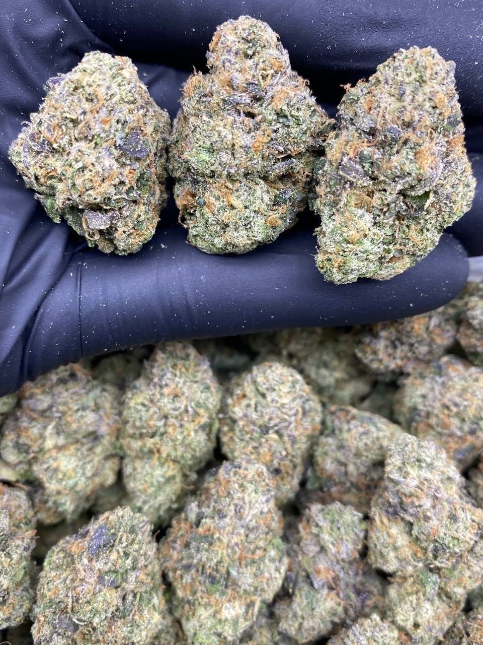 CHERRY POPPERS CHERRY POPPERS