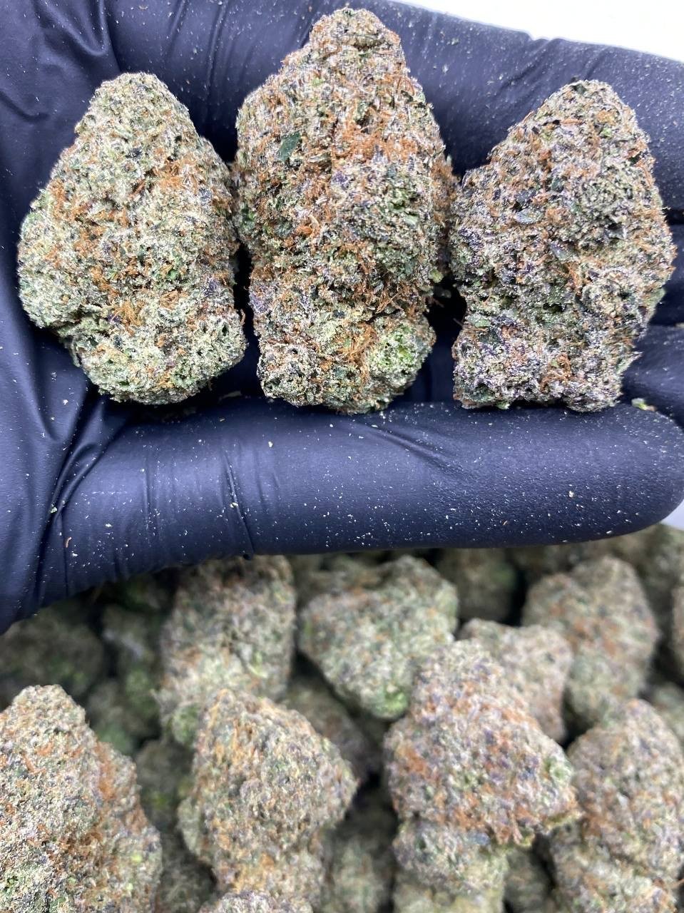 CANDY GOBSTOPPERS CANDY GOBSTOPPERS