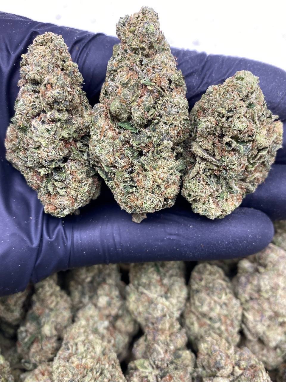 GREASE CAKE GREASE CAKE