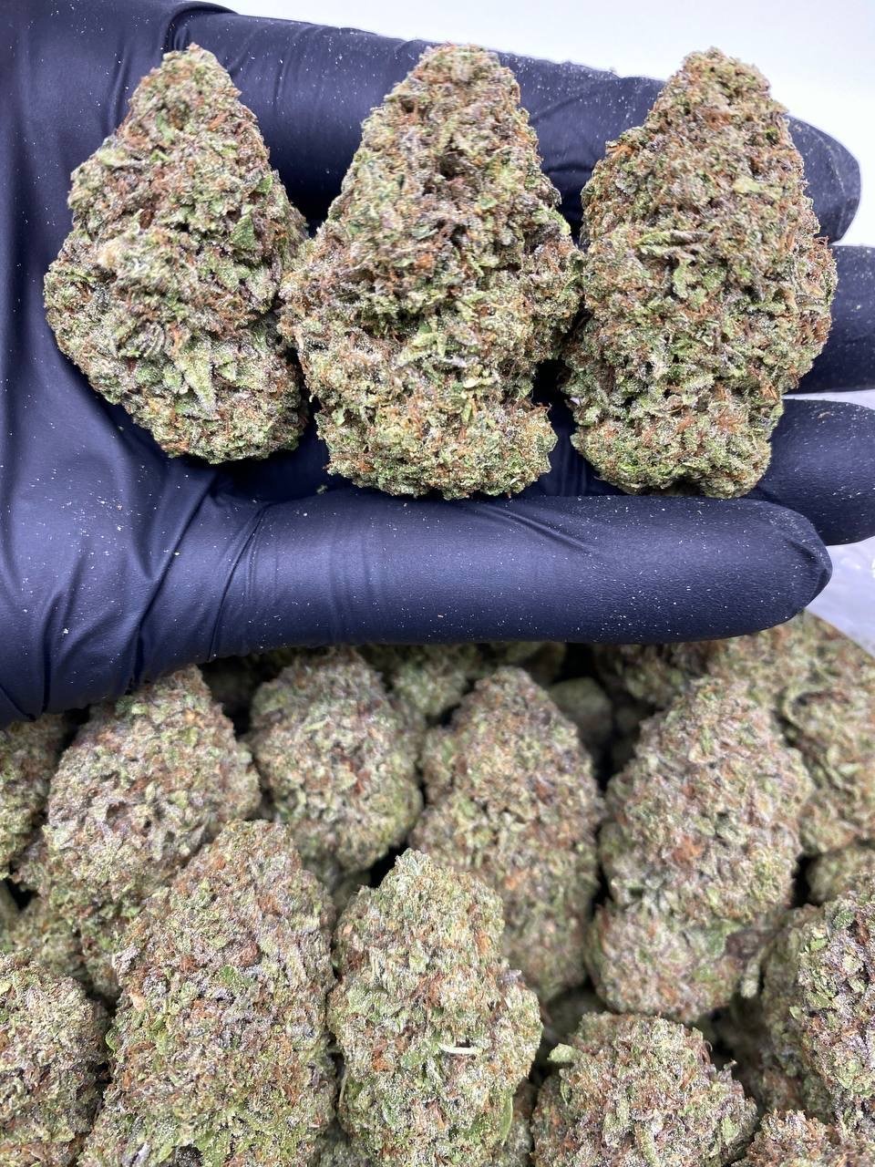 WEDDING CAKESTER WEDDING CAKESTER