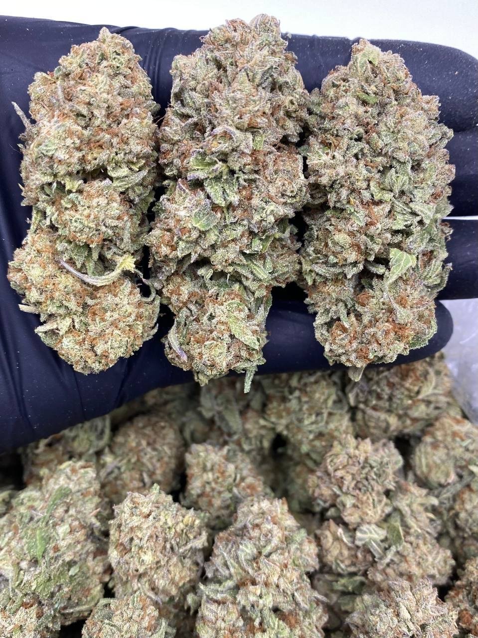 DOUBLE STUFFED OREO DOUBLE STUFFED OREO