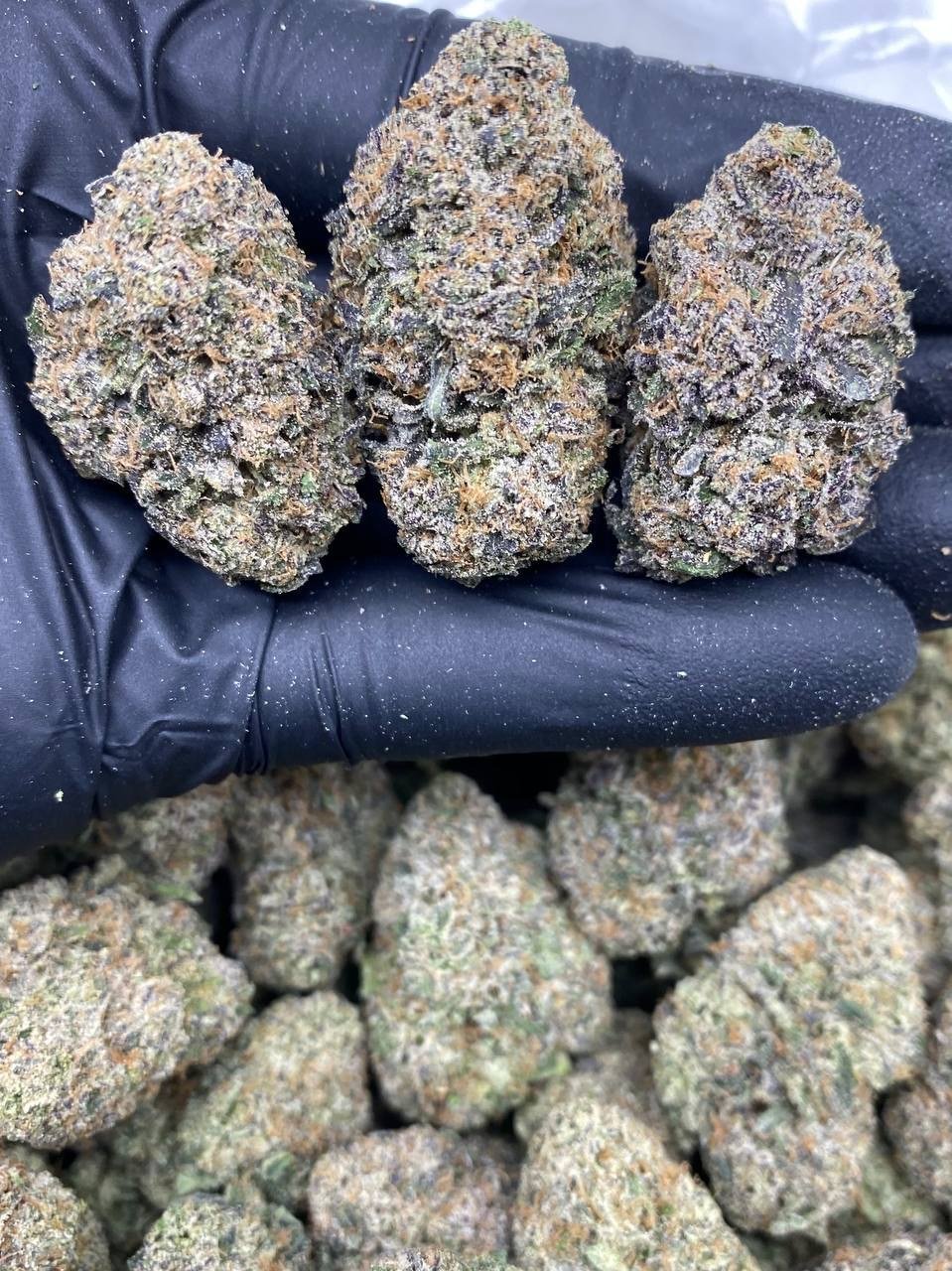 CHERY JOLLYZ CHERY JOLLYZ