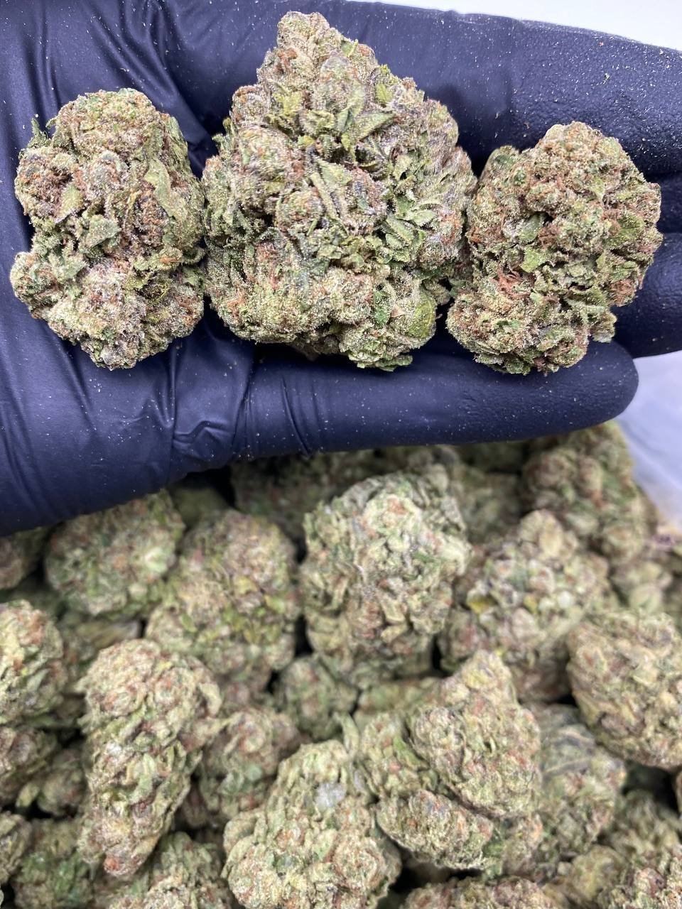 CANDY FLIP CANDY FLIP